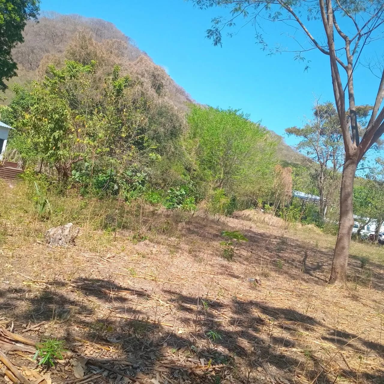 Terreno en Renta | Km. 147 Carretera a Frontera Pedro de Alvarado — Terreno en Alquiler en Pasaco, Jutiapa — foto 4 de 4