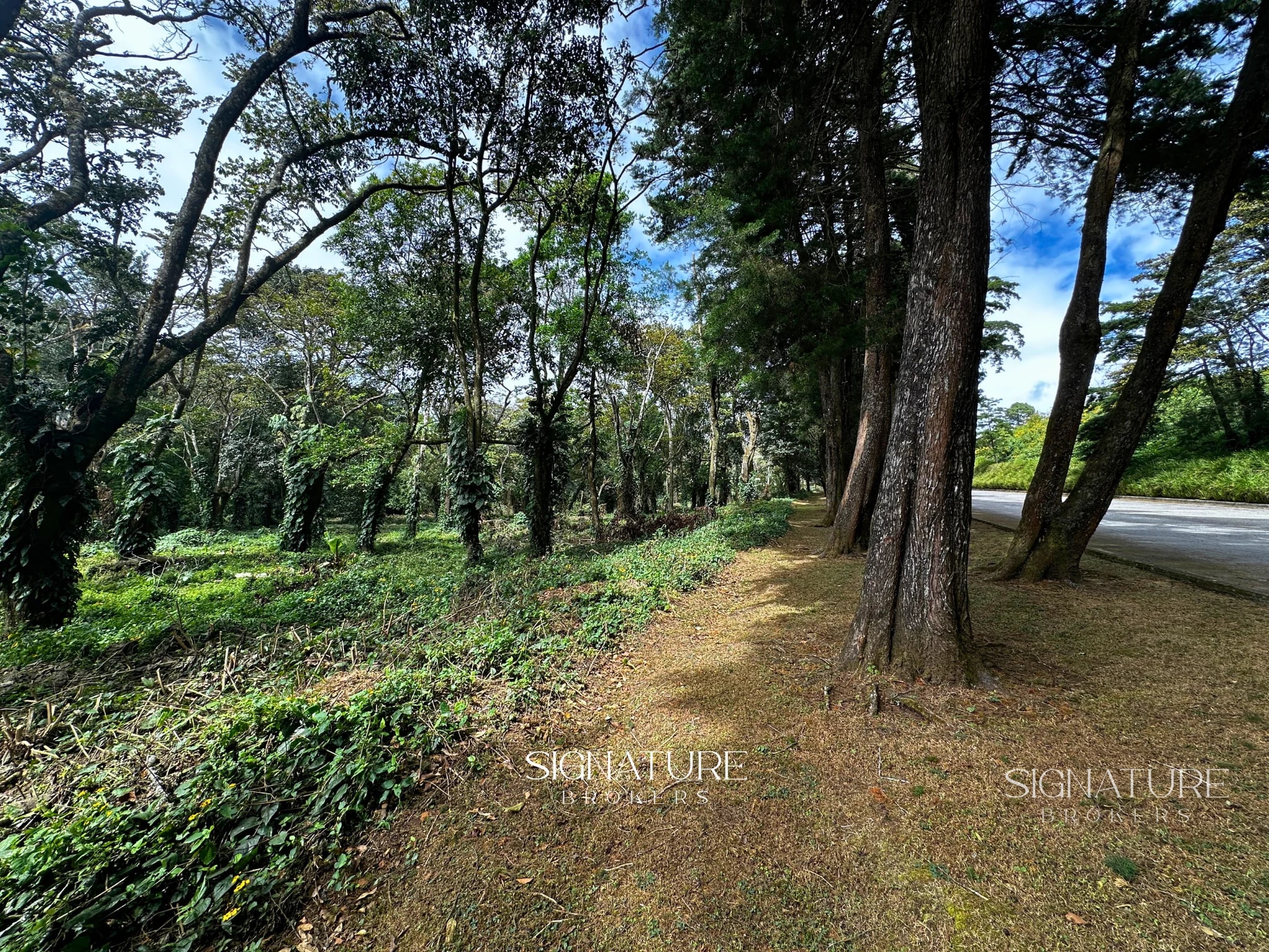 Terreno en venta Premiere Campestre - Km. 22.5 CES - 5