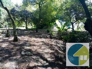 Terreno en Venta en Carretera a Santa Elena Barillas -- TDV2030 — Terreno en Venta en Santa Elena Barillas, Guatemala, Ciudad — miniatura 8 de 11