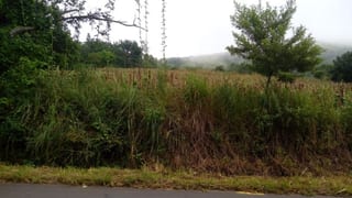Venta terreno Km. 46.5 Villa Canales — Terreno en Venta en Villa Canales, Guatemala, Ciudad — miniatura 4 de 4