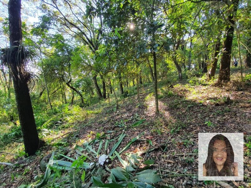 Terrenos en venta en El Encinal, Tronco 2 - 9