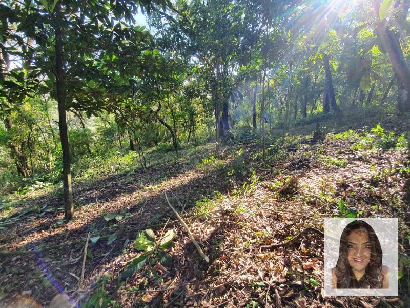 Terrenos en venta en El Encinal, Tronco 2 - 8