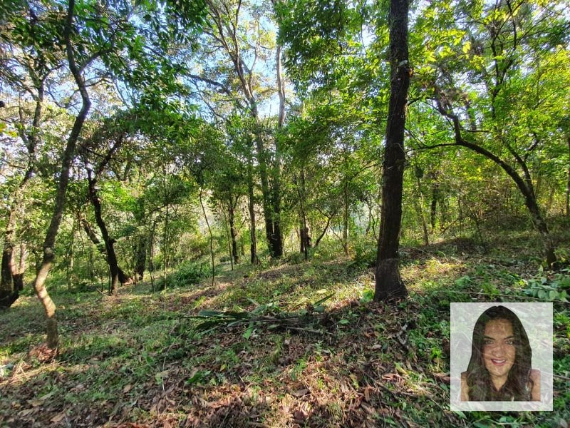Terrenos en venta en El Encinal, Tronco 2 - 2