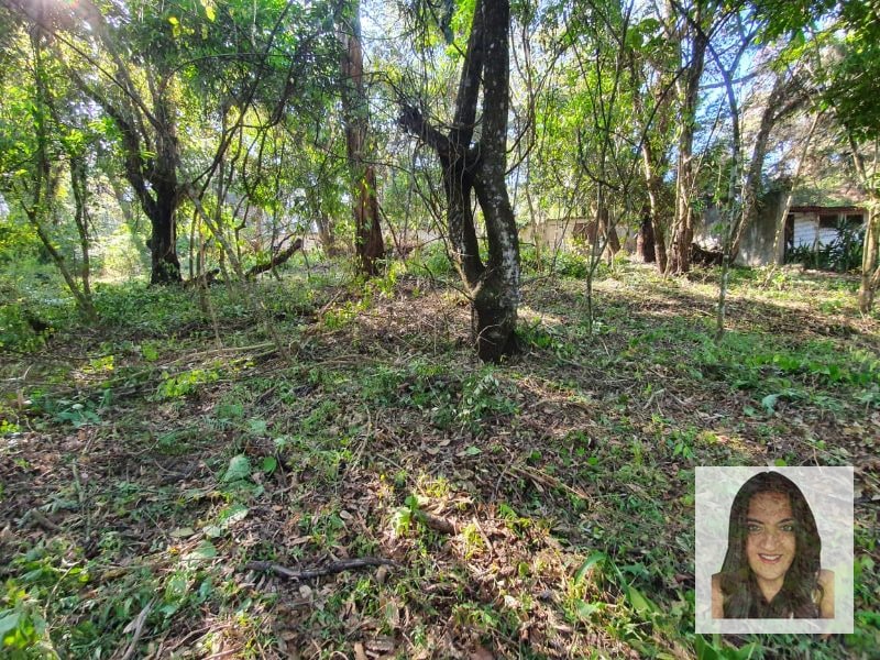 Terrenos en venta en El Encinal, Tronco 2 - 3