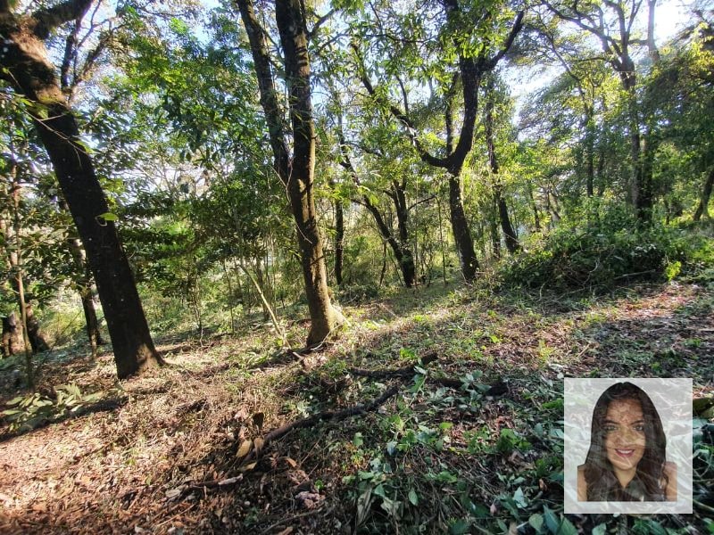 Terrenos en venta en El Encinal, Tronco 2 - 4