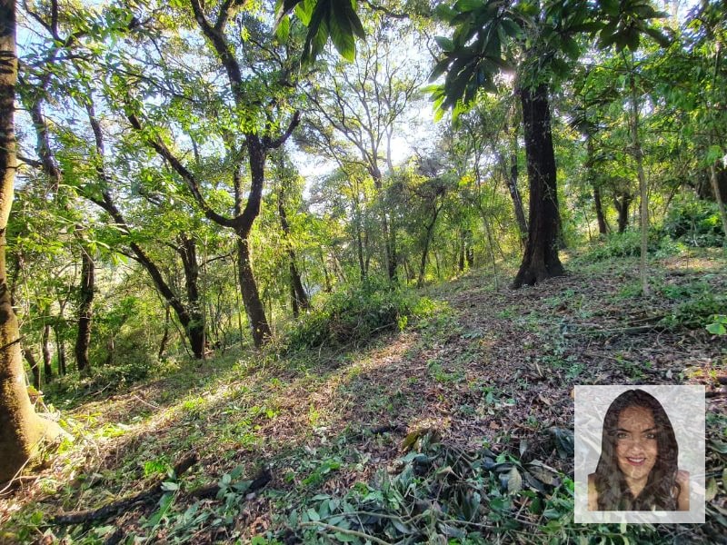 Terrenos en venta en El Encinal, Tronco 2 - 6