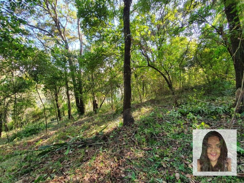 Terrenos en venta en El Encinal, Tronco 2 - 5