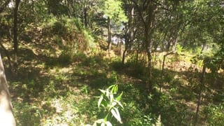 Vendo Terreno, Zona 1 Mixco. — Terreno en Venta en Zona 1 Mixco, Guatemala, Ciudad — miniatura 3 de 4