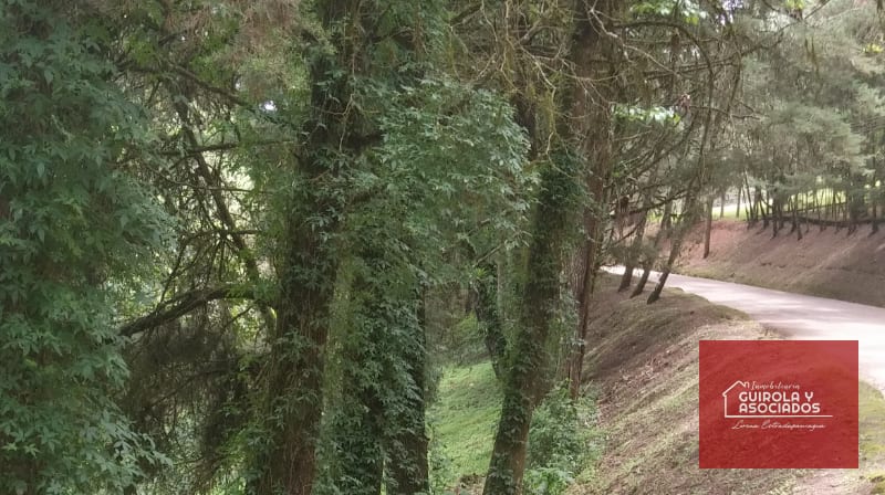Terreno en venta en Santa Rosalia La Laguna 001TVSTD — Terreno en Venta en Santa Rosalia La Laguna, Carretera a El Salvador, Guatemala, Ciudad — foto 1 de 4