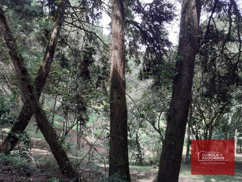Terreno en venta en Santa Rosalia La Laguna 001TVSTD - 3