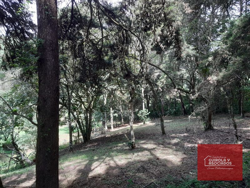Terreno en venta en Santa Rosalia La Laguna 001TVSTD - 2