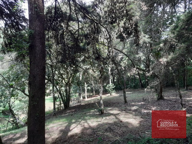 Terreno en venta en Santa Rosalia La Laguna 001TVSTD — Terreno en Venta en Santa Rosalia La Laguna, Carretera a El Salvador, Guatemala, Ciudad — foto 3 de 4