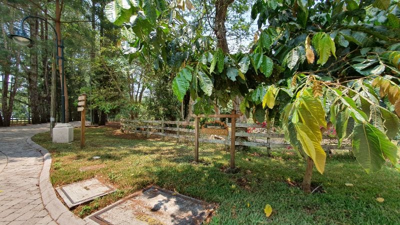 VENTA TERRENO EN STA ELENA DEL LAGO — Terreno en Venta en Carretera a El Salvador, Guatemala, Ciudad — foto 4 de 13