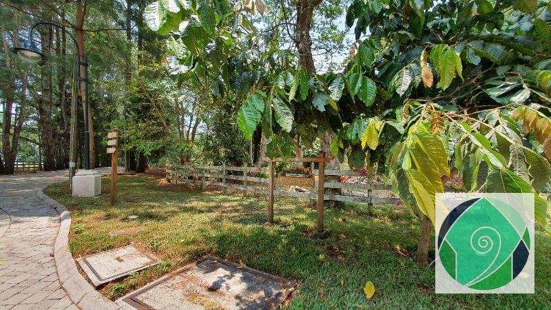 VENTA TERRENO EN STA ELENA DEL LAGO — Terreno en Venta en Carretera a El Salvador, Guatemala, Ciudad — foto 4 de 13
