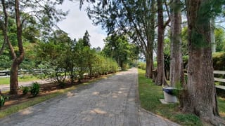 VENTA TERRENO EN STA ELENA DEL LAGO — Terreno en Venta en Carretera a El Salvador, Guatemala, Ciudad — miniatura 11 de 13