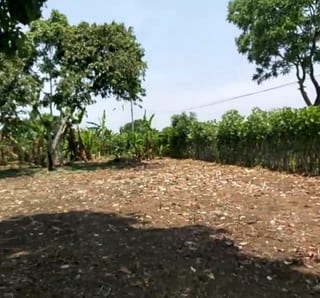 VENDO Terreno en Santo Domingo Suchitepéquez Q180,000 + Impuestos — Terreno en Venta en Mazatenango, Suchitepéquez — miniatura 1 de 4