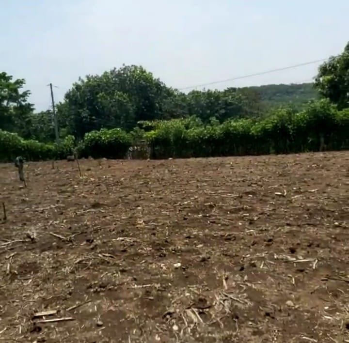 VENDO Terreno en Santo Domingo Suchitepéquez Q180,000 + Impuestos — Terreno en Venta en Mazatenango, Suchitepéquez — foto 4 de 4