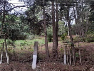 IDEAL PARA DESARROLLO TERRENO  KM 16 CARRETERA SALVADOR EN VENTA — Terreno en Venta en Carretera a El Salvador, Guatemala, Ciudad — miniatura 3 de 4