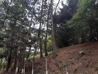 IDEAL PARA DESARROLLO TERRENO  KM 16 CARRETERA SALVADOR EN VENTA — Terreno en Venta en Carretera a El Salvador, Guatemala, Ciudad — miniatura 4 de 4