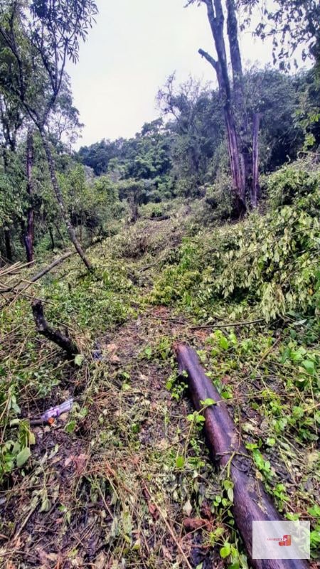 Venta de Terreno en El Encinal Tronco 8 - Mixco Guate - 3
