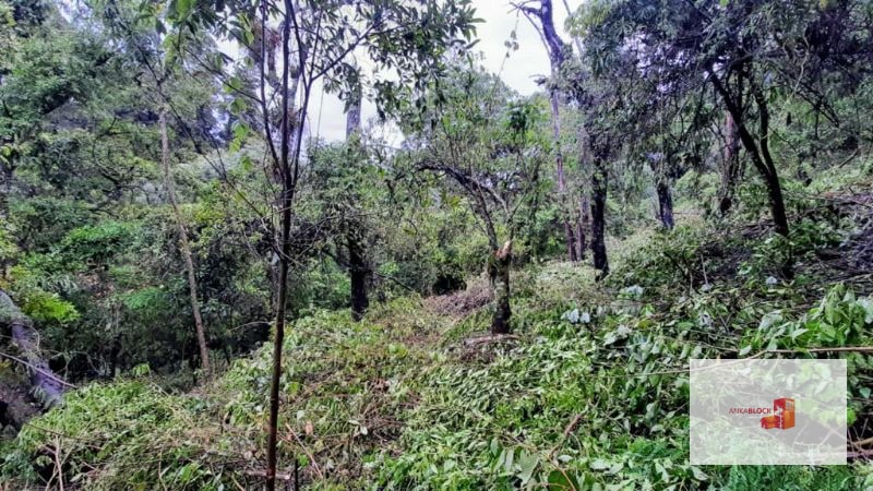 Venta de Terreno en El Encinal Tronco 8 - Mixco Guate - 2