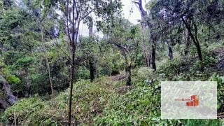 Venta de Terreno en El Encinal Tronco 8 - Mixco Guate — Terreno en Venta en Zona 7 Mixco, Guatemala, Ciudad — miniatura 4 de 11