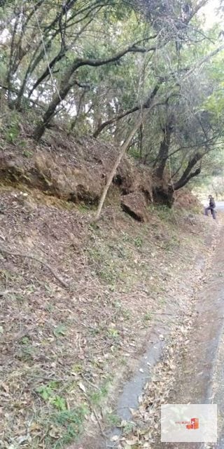 Venta Terreno El Encinal Mixco - Tronco 7  — Terreno en Venta en El Encinal, Zona 7 Mixco, Guatemala, Ciudad — miniatura 4 de 13