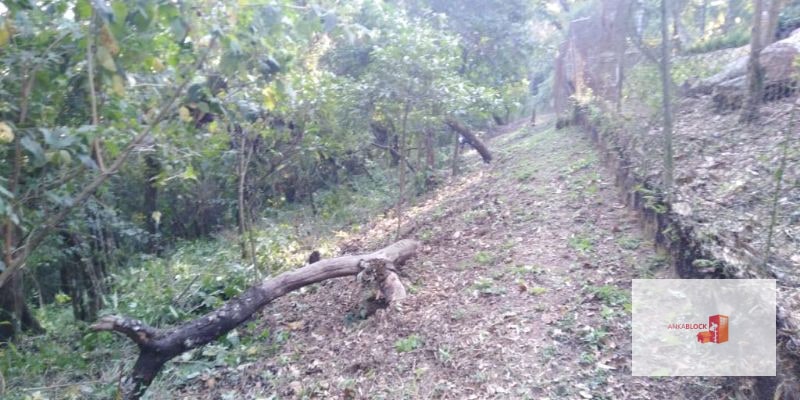 Venta Terreno El Encinal Mixco - Tronco 7 - 10