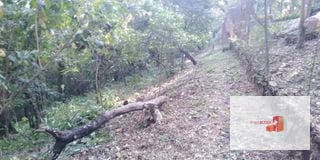 Venta Terreno El Encinal Mixco - Tronco 7  — Terreno en Venta en El Encinal, Zona 7 Mixco, Guatemala, Ciudad — miniatura 11 de 11