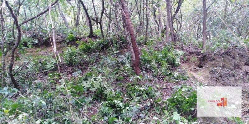 Venta Terreno El Encinal Mixco - Tronco 7  - 4