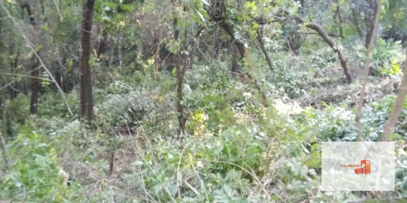 Venta Terreno El Encinal Mixco - Tronco 7 - 8