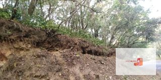 Venta Terreno El Encinal Mixco - Tronco 7  — Terreno en Venta en El Encinal, Zona 7 Mixco, Guatemala, Ciudad — miniatura 3 de 13