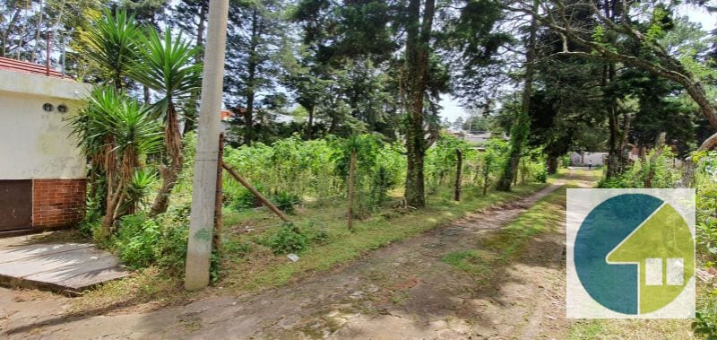 Terreno en Venta en Fraijanes  -- TDV2139 — Terreno en Venta en Carretera a El Salvador, Guatemala, Ciudad — foto 7 de 14