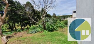 Terreno en Venta en Fraijanes  -- TDV2139 — Terreno en Venta en Carretera a El Salvador, Guatemala, Ciudad — miniatura 5 de 14