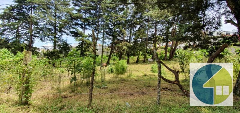 Terreno en Venta en Fraijanes  -- TDV2139 — Terreno en Venta en Carretera a El Salvador, Guatemala, Ciudad — foto 1 de 14