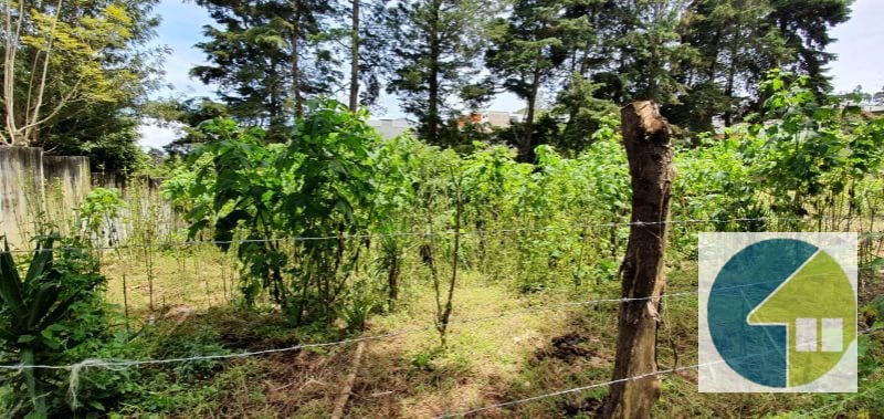 Terreno en Venta en Fraijanes  -- TDV2139 — Terreno en Venta en Carretera a El Salvador, Guatemala, Ciudad — foto 9 de 14