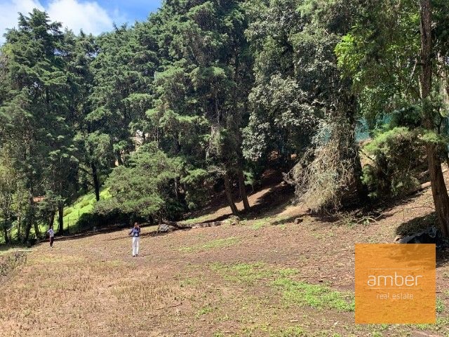 Terreno para desarrollo, Jacarandas de Muxbal - 4