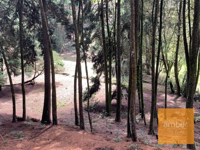 Terreno para desarrollo, Jacarandas de Muxbal - 2