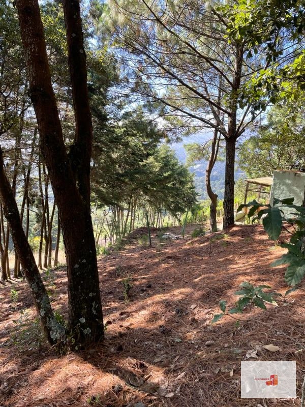1 Mz con bellas vistas - S. Lucía Milpas Altas - 6