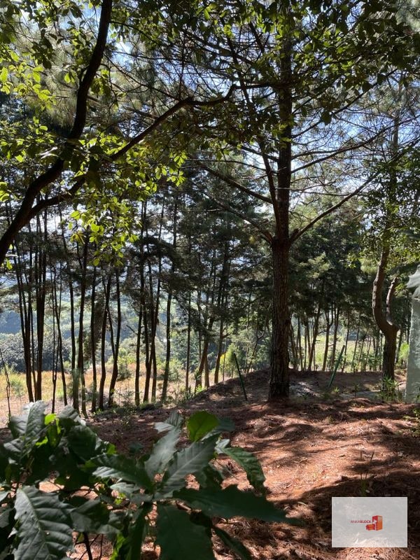 1 Mz con bellas vistas - S. Lucía Milpas Altas - 5