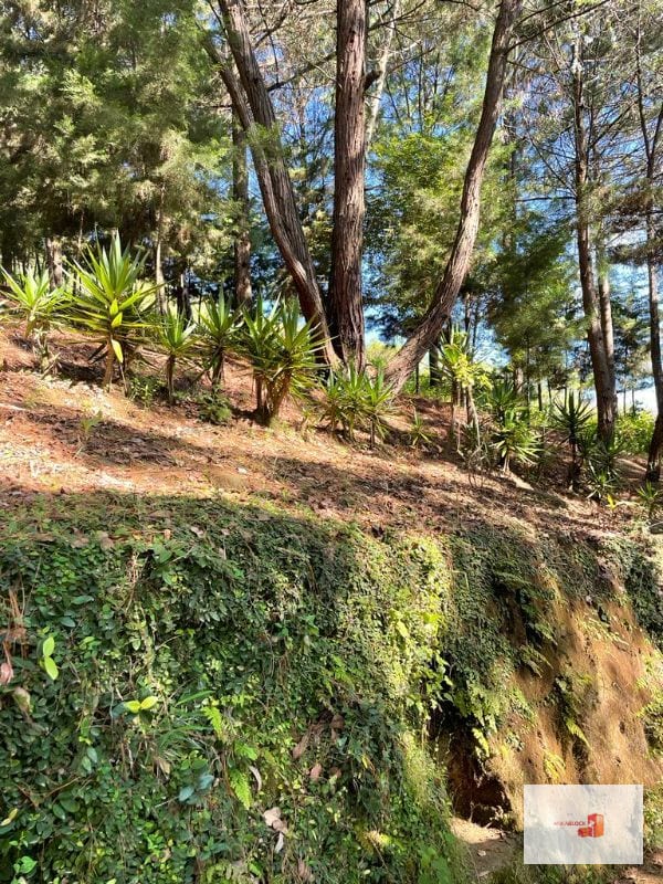 1 Mz con bellas vistas - S. Lucía Milpas Altas — Terreno en Venta en Santa Lucía Milpas Altas, Sacatepéquez — foto 3 de 16