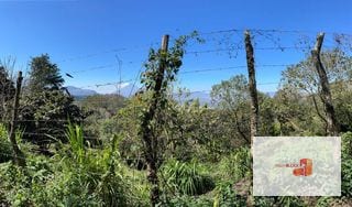 Terreno vista panorámica; camino S Elena Barillas — Terreno en Venta en Villa Canales, Guatemala, Ciudad — miniatura 4 de 5