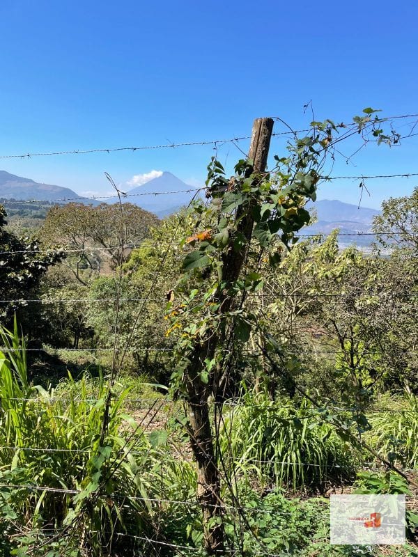 Terreno vista panorámica; camino S Elena Barillas — Terreno en Venta en Villa Canales, Guatemala, Ciudad — foto 1 de 5