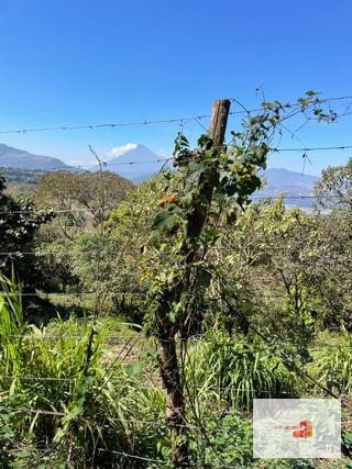 Terreno vista panorámica; camino S Elena Barillas — Terreno en Venta en Villa Canales, Guatemala, Ciudad — miniatura 1 de 5