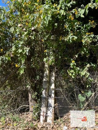 Terreno vista panorámica; camino S Elena Barillas — Terreno en Venta en Villa Canales, Guatemala, Ciudad — miniatura 3 de 5