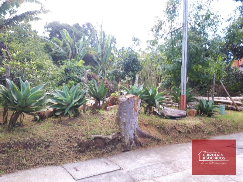 Terreno en venta en Santa Rosalia La Laguna 037TVSTD - 2