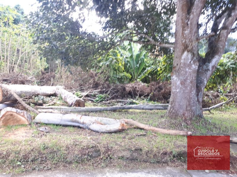 Terreno en venta en Santa Rosalia La Laguna 037TVSTD - 3