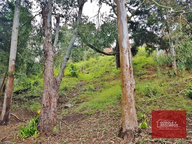 TERRENO EN VENTA EN SANTA ROSALIA LA LAGUNA 017TVSTD - 2