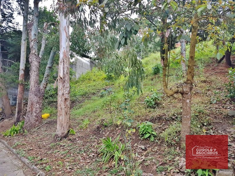 TERRENO EN VENTA EN SANTA ROSALIA LA LAGUNA 017TVSTD - 1