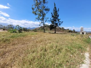 Terreno en venta para desarrollo vivienda popular — Terreno en Venta en Villa Canales, Guatemala, Ciudad — miniatura 4 de 7